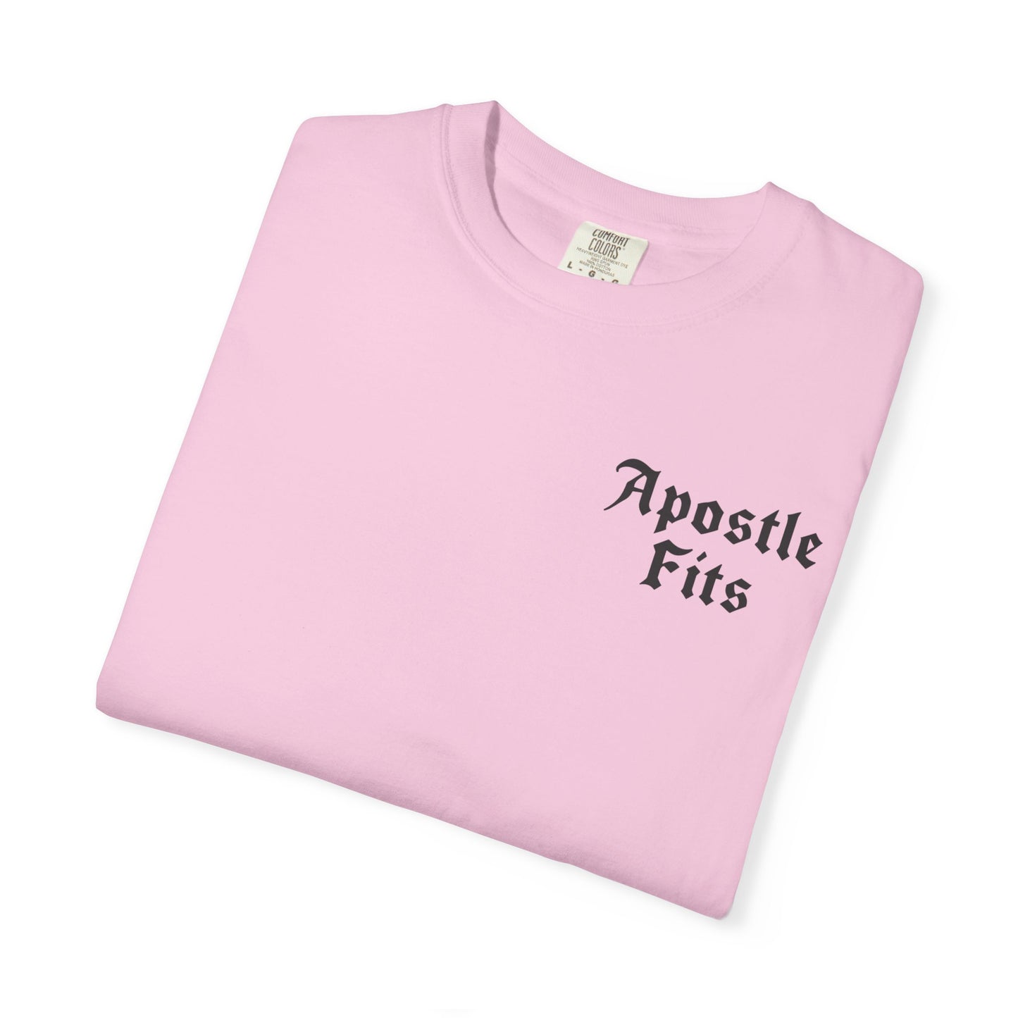 Apostle Fits Christian T-Shirt