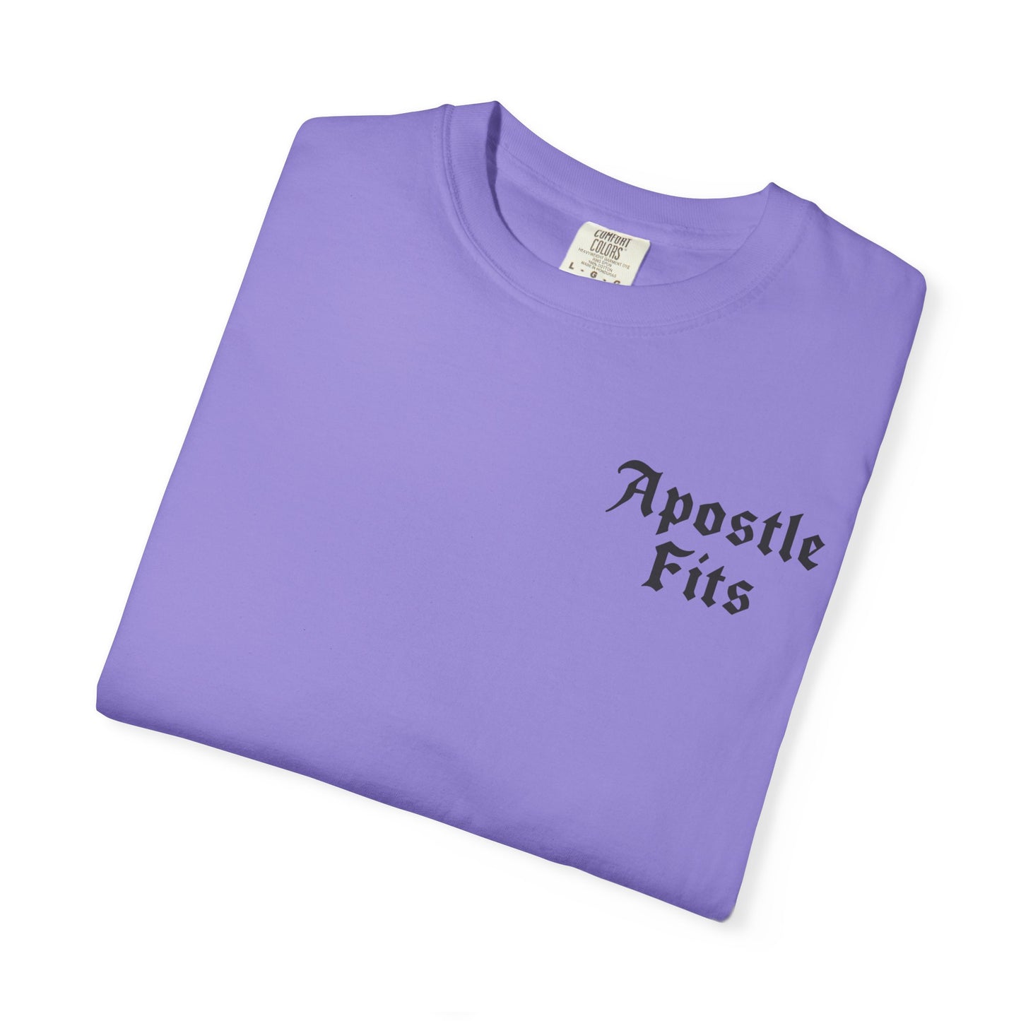Apostle Fits Christian T-Shirt