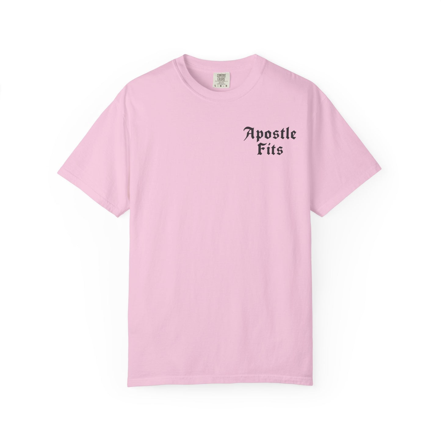 Apostle Fits Christian T-Shirt