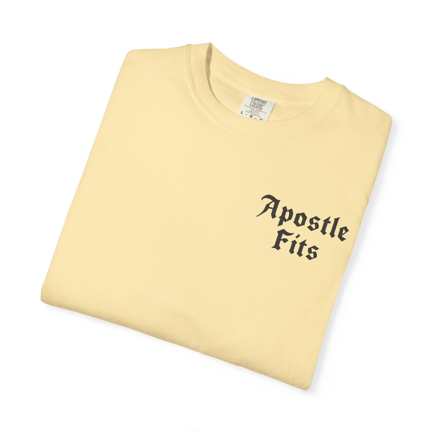 Apostle Fits Christian T-Shirt
