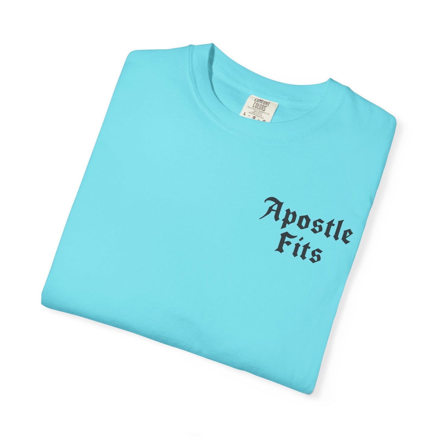 Apostle Fits Christian T-Shirt