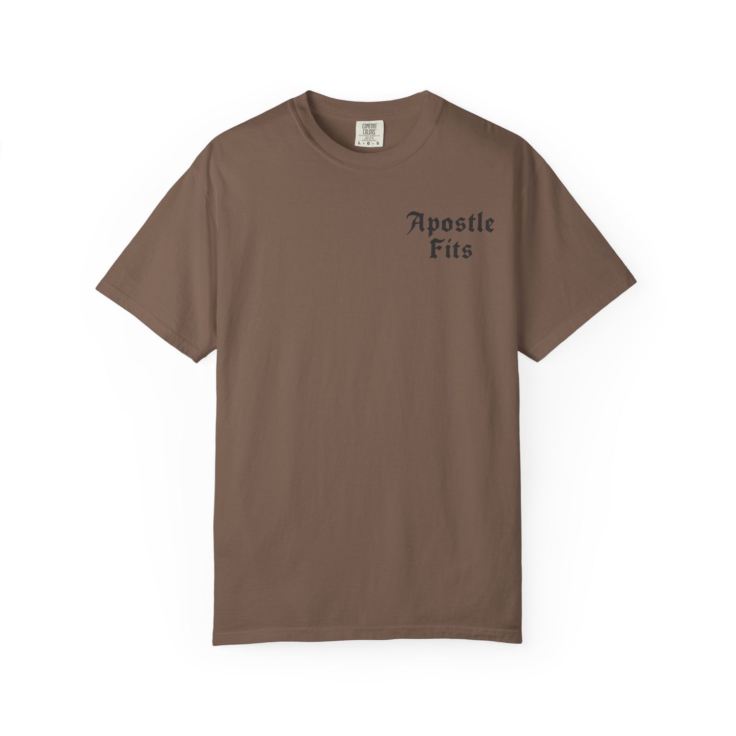 Apostle Fits Christian T-Shirt