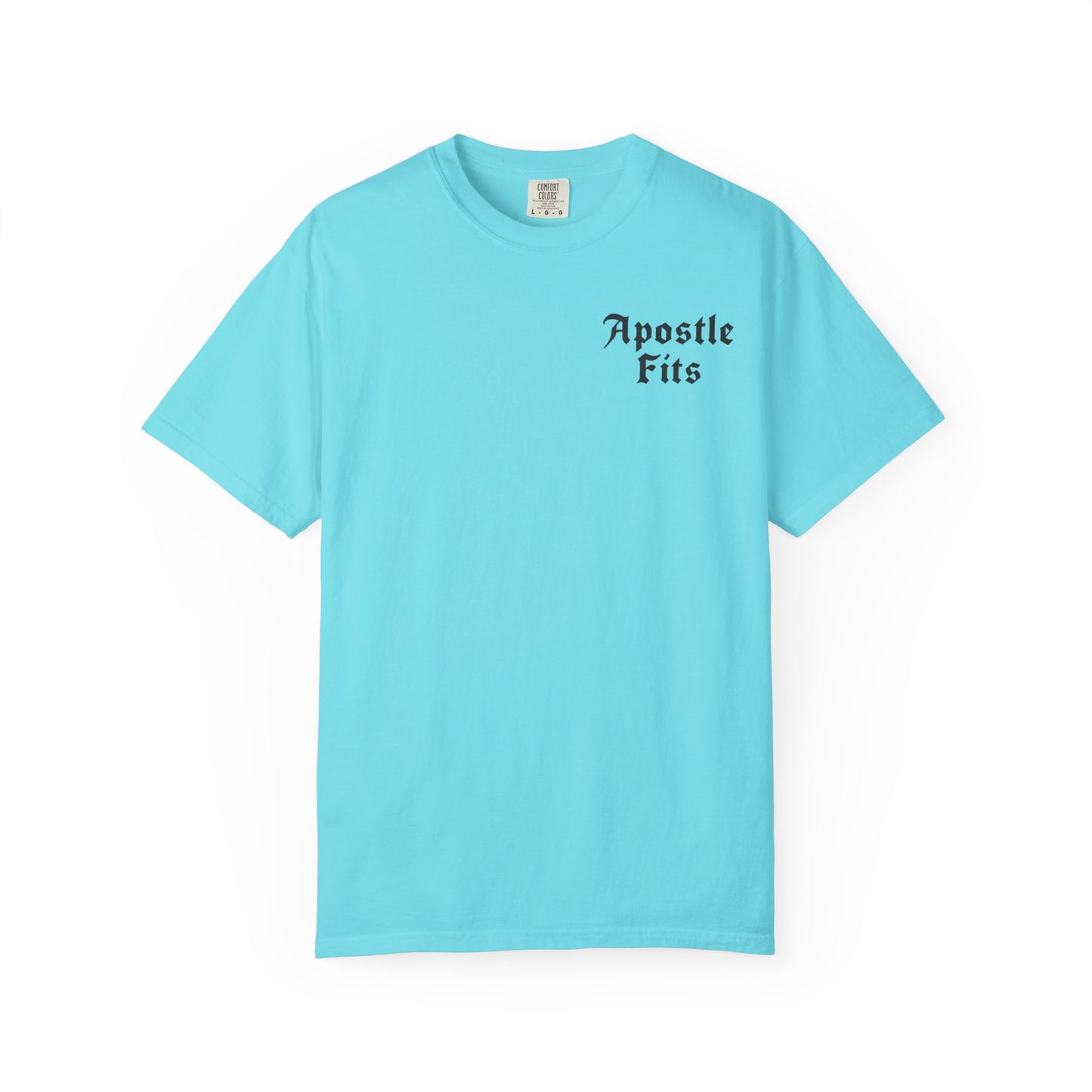 Apostle Fits Christian T-Shirt