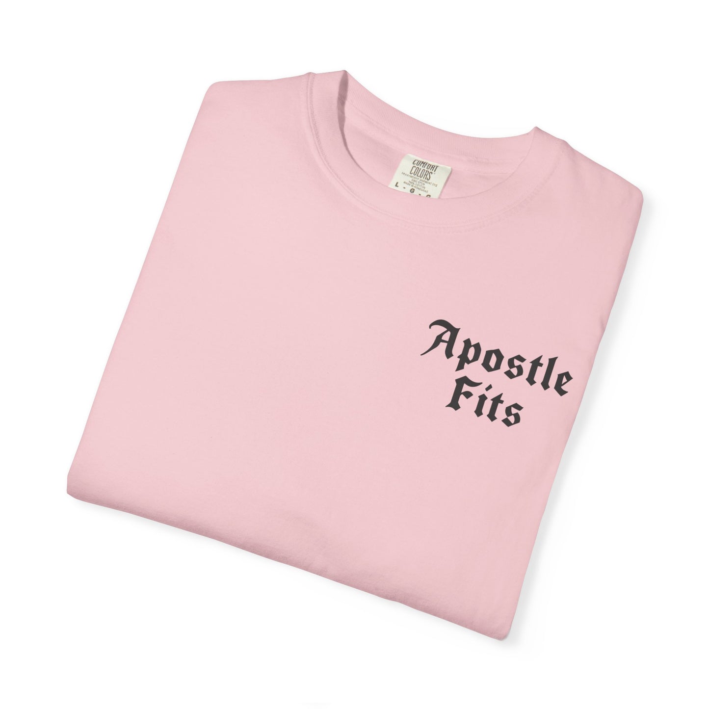 Apostle Fits Christian T-Shirt