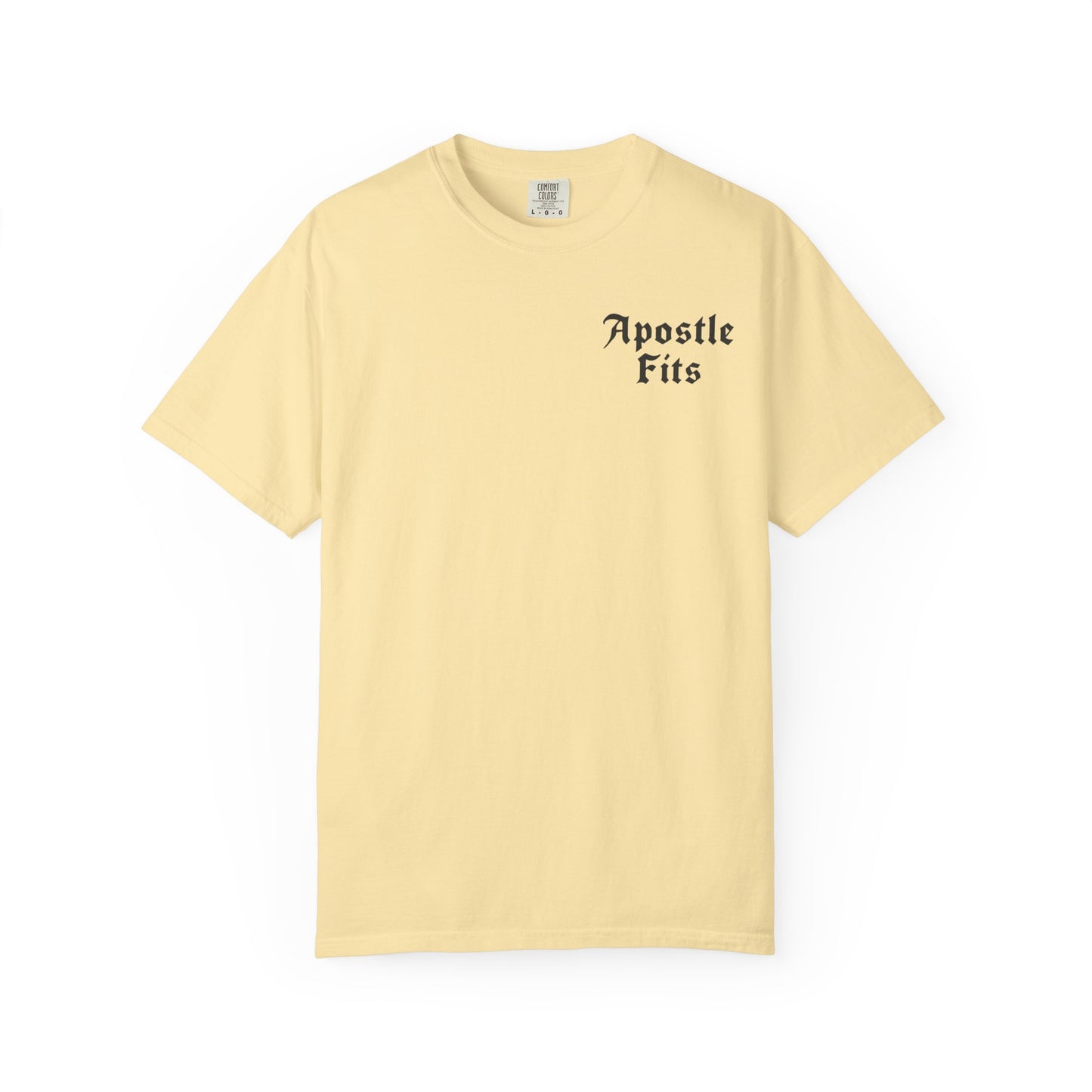 Apostle Fits Christian T-Shirt