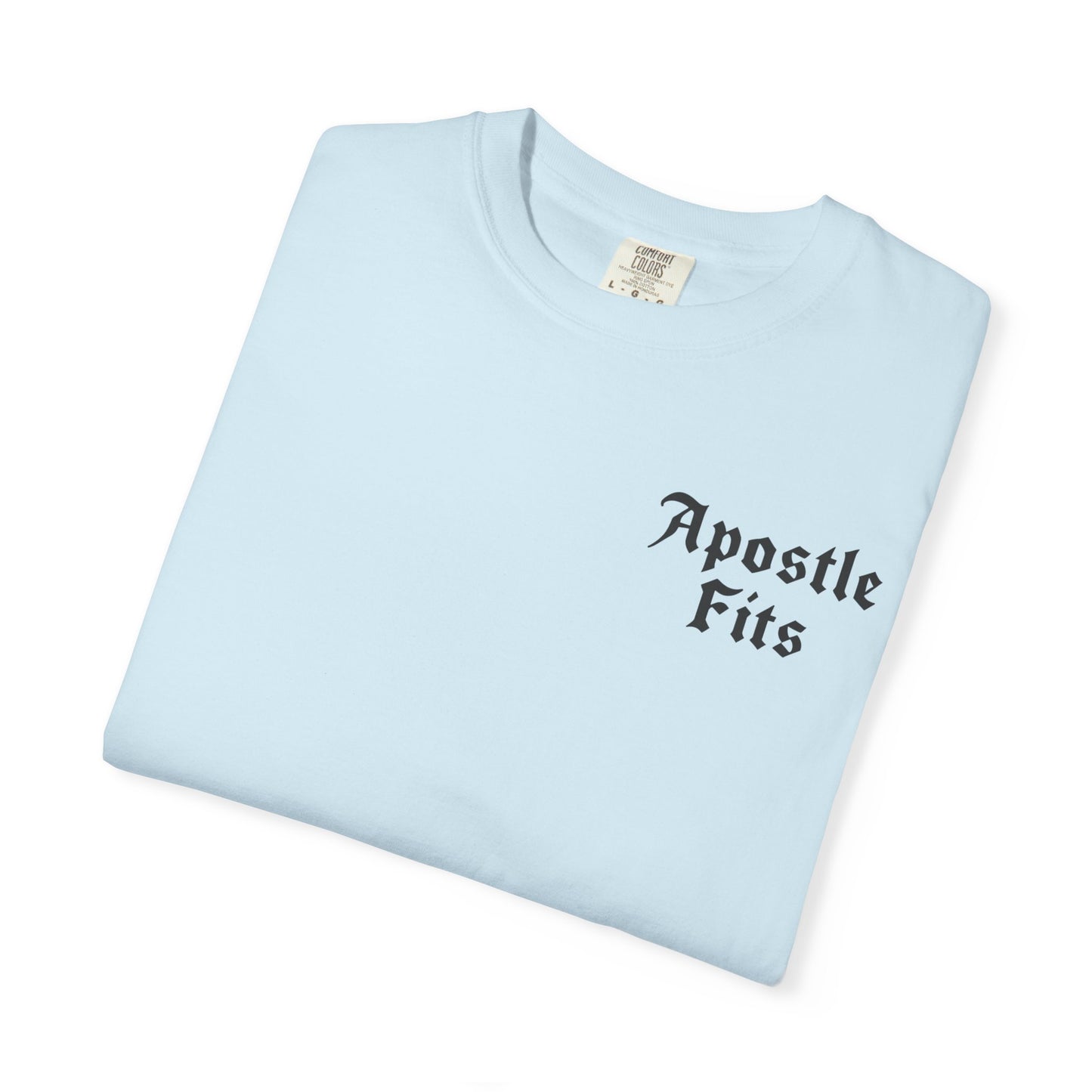 Apostle Fits Christian T-Shirt