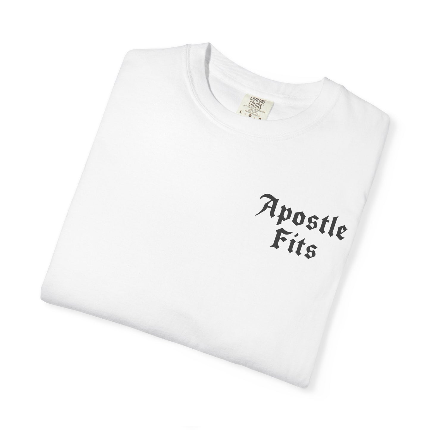 Apostle Fits Christian T-Shirt